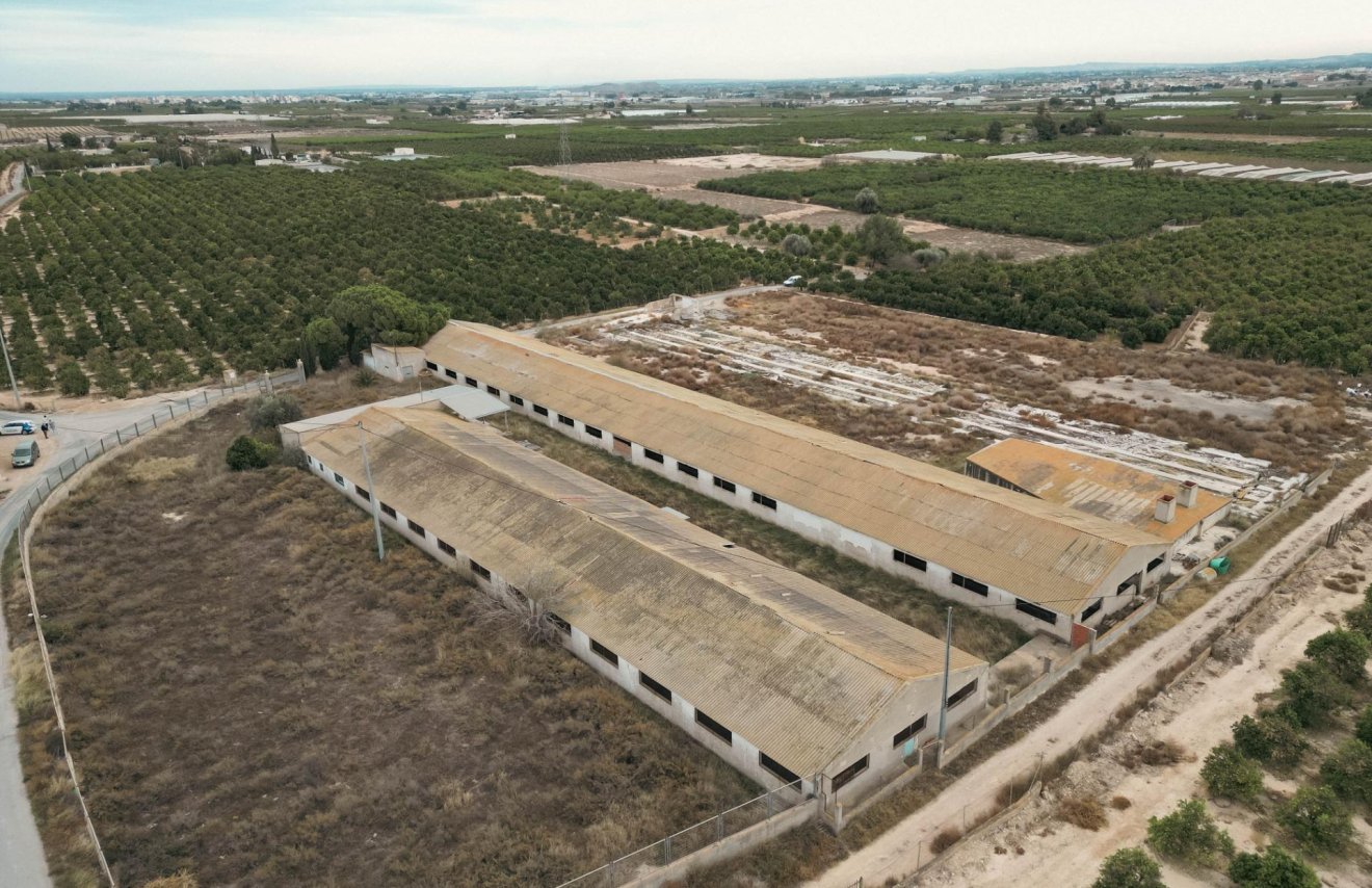 Revente - Terreno rural - Orihuela - La Murada-Los Vicentes