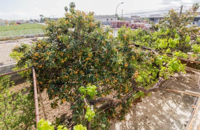 Reventa - Casa con terreno - Callosa de Segura - CRA. CALLOSA - CATRAL