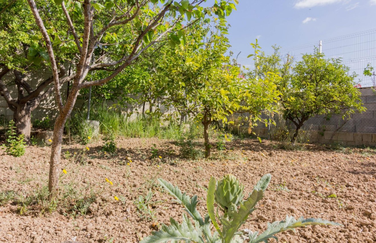 Resale - Casa con terreno - Callosa de Segura - CRA. CALLOSA - CATRAL