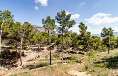 Revente - Casa - Orihuela - Zona Centro