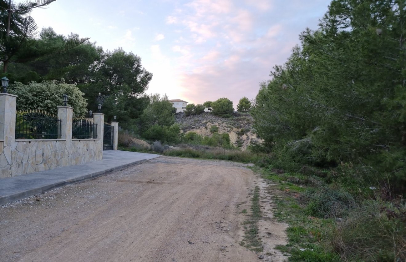 Resale - Chalet - Murcia - Cañadas de San Pedro