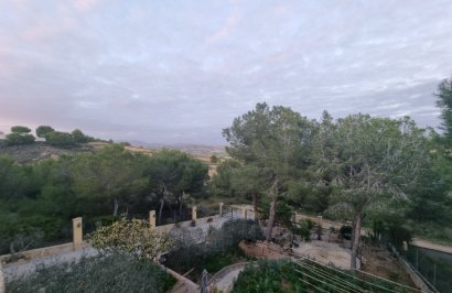 Revente - Chalet - Murcia - Cañadas de San Pedro