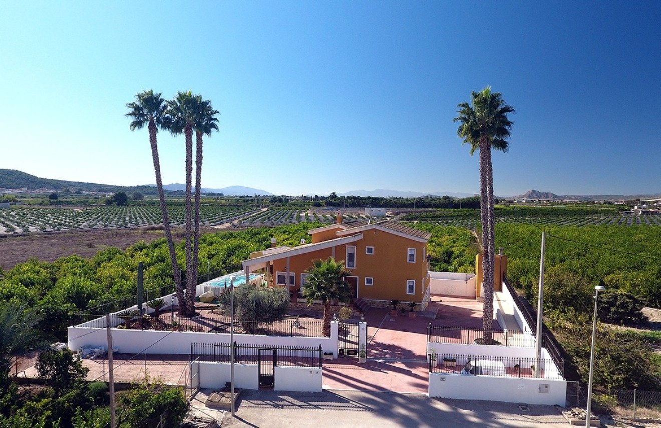 Revente - Chalet - Orihuela - Correntías Medias