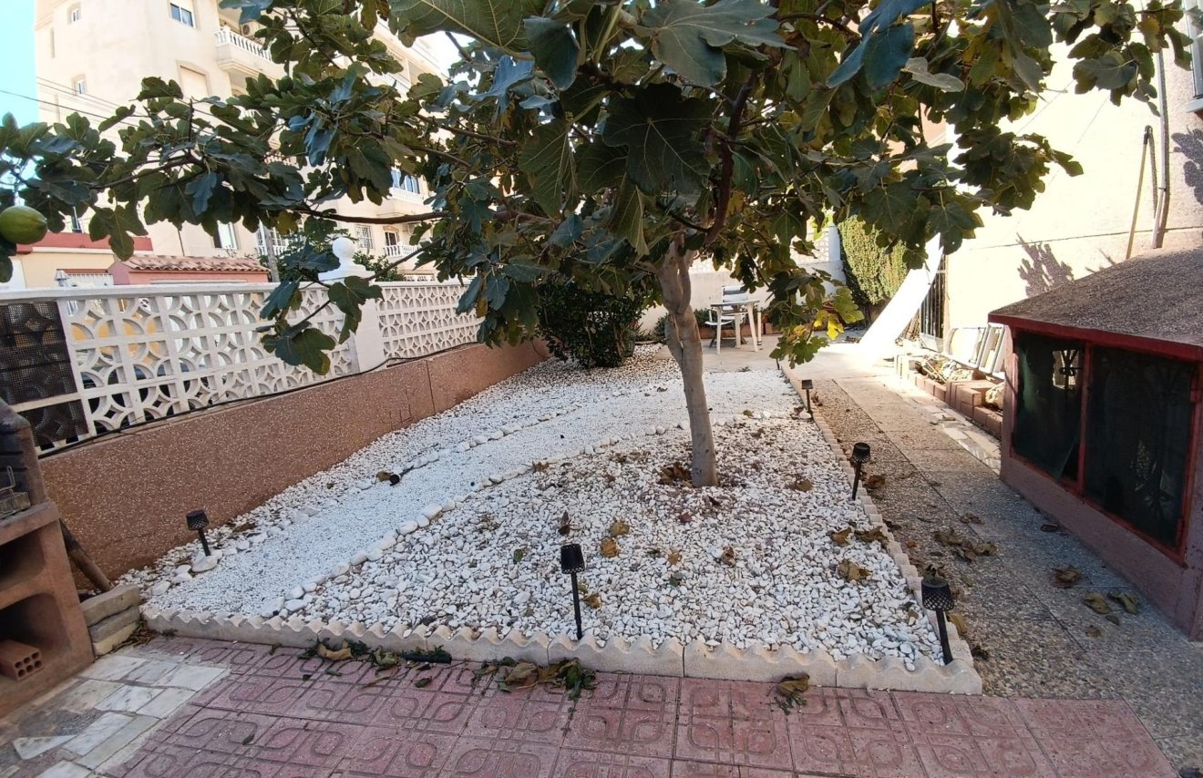 Revente - Apartamento - Torrevieja - Nueva Torrevieja