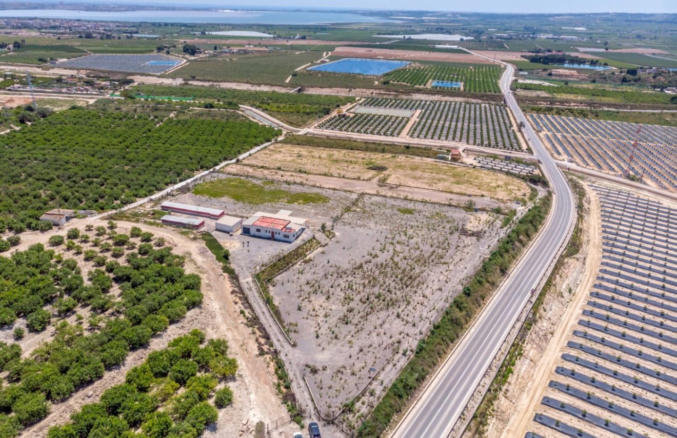 Revente - Finca rústica - Montesinos - LOS MONTESINOS