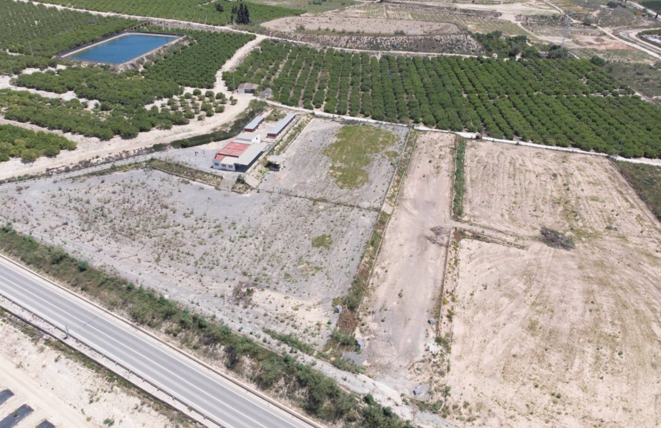 Revente - Finca rústica - Montesinos - LOS MONTESINOS