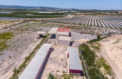 Revente - Finca rústica - Montesinos - LOS MONTESINOS