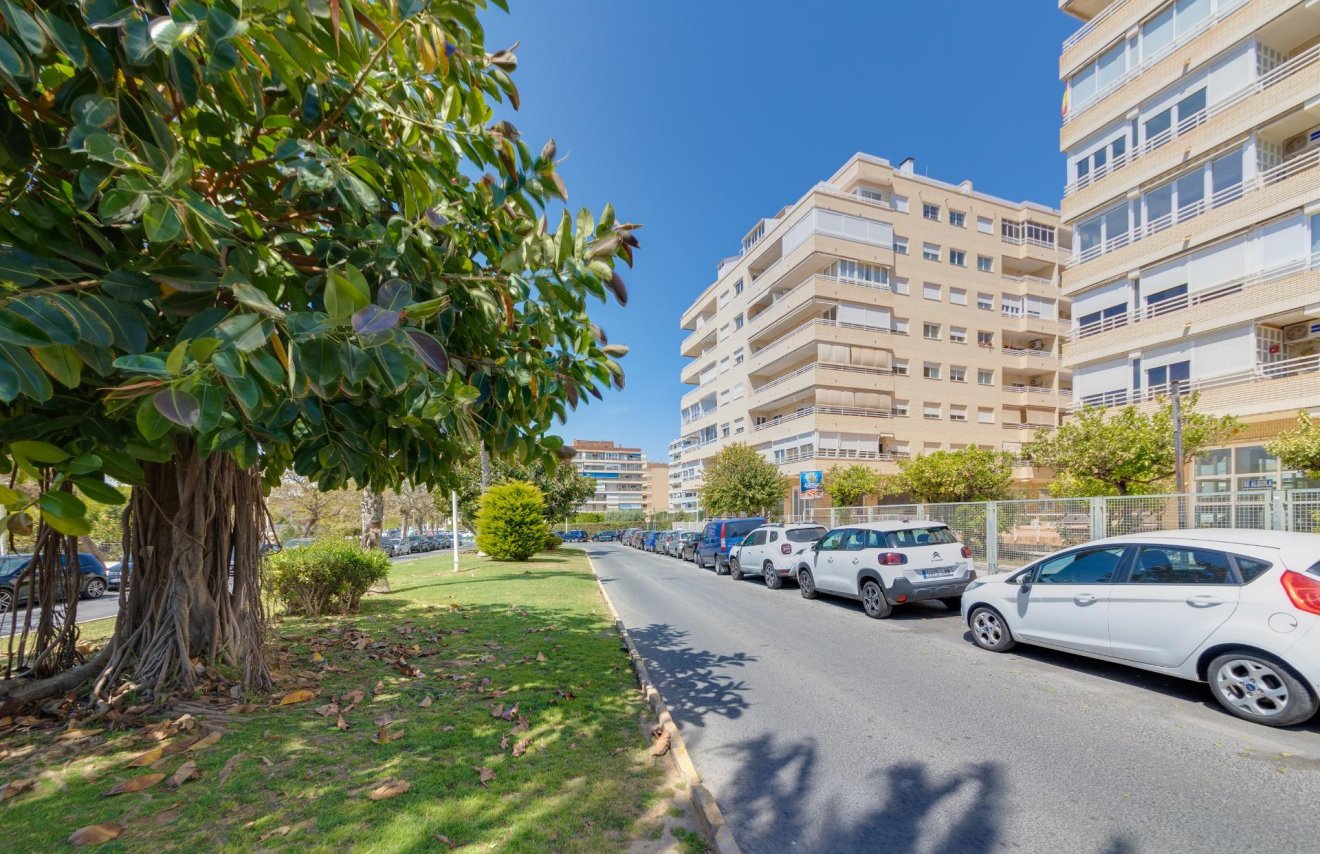 Resale - Apartamento - Torrevieja - Puerto