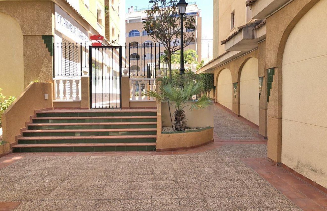 Resale - Apartamento - Torrevieja - Parque las naciones