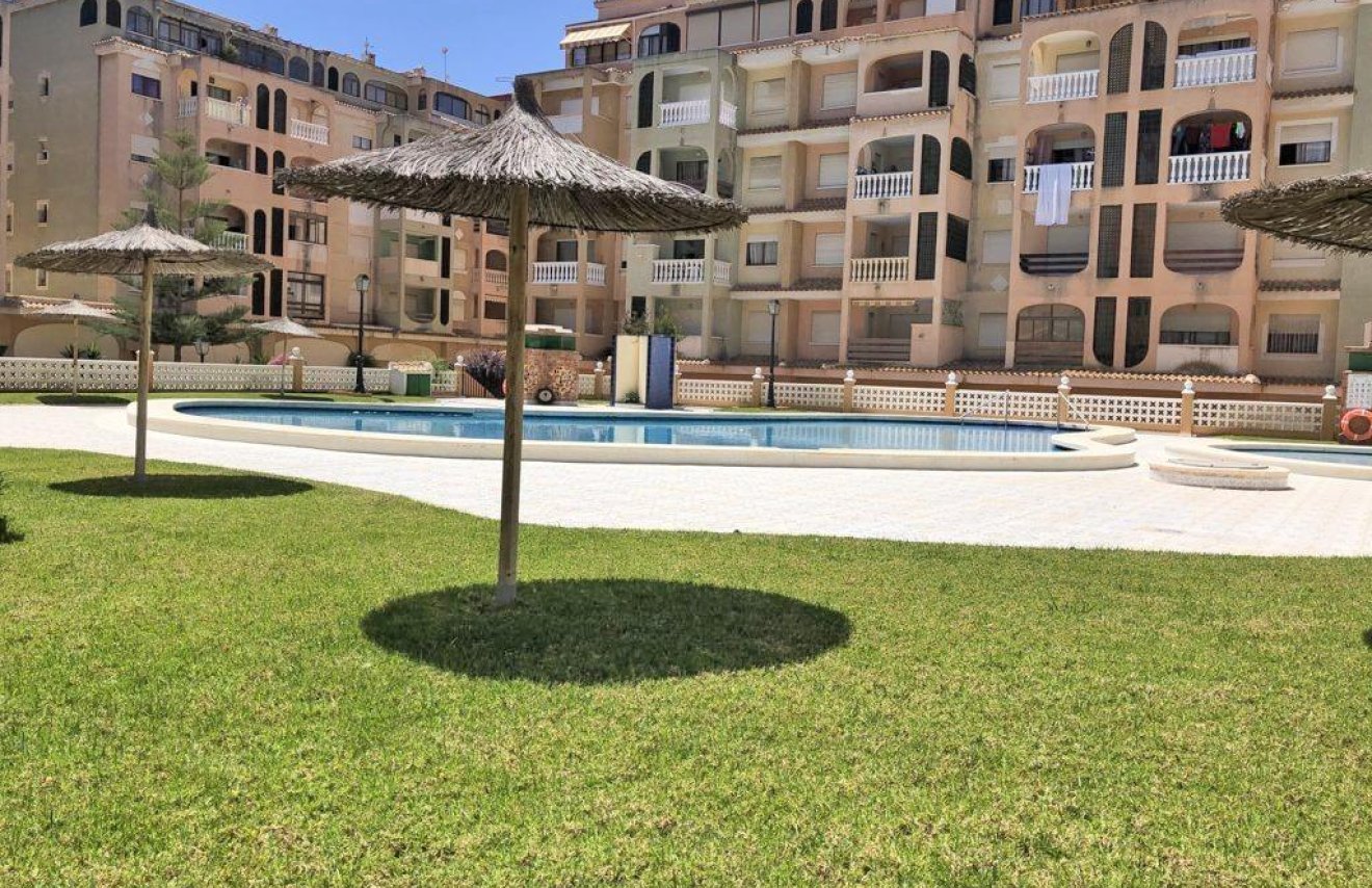 Reventa - Apartamento - Torrevieja - Parque las naciones