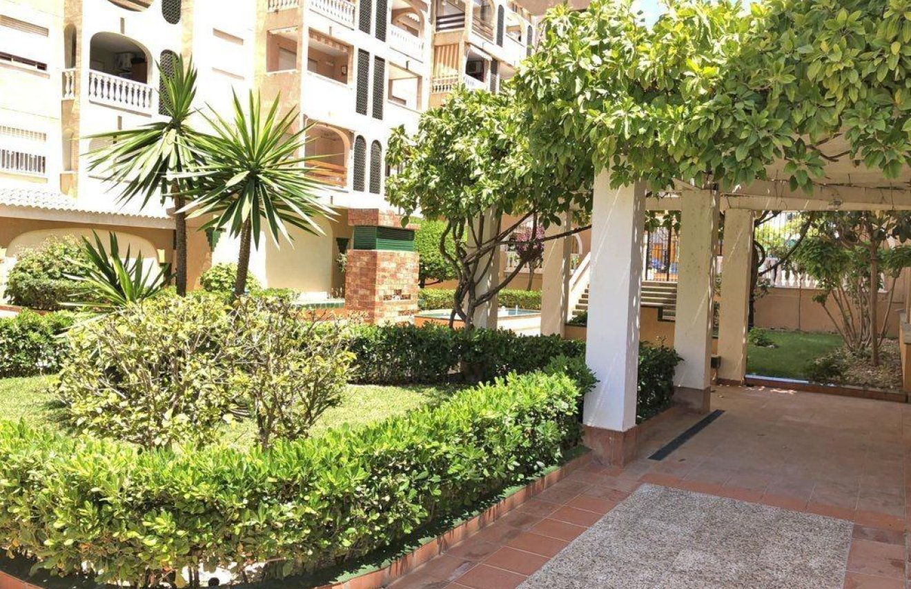 Revente - Apartamento - Torrevieja - Parque las naciones