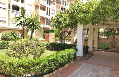 Reventa - Apartamento - Torrevieja - Parque las naciones