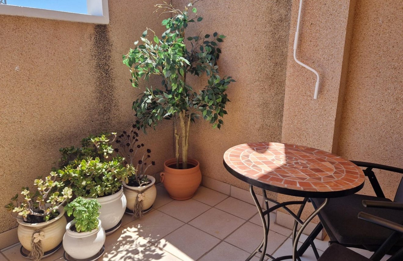 Resale - Apartamento - Torrevieja - Playa del Cura