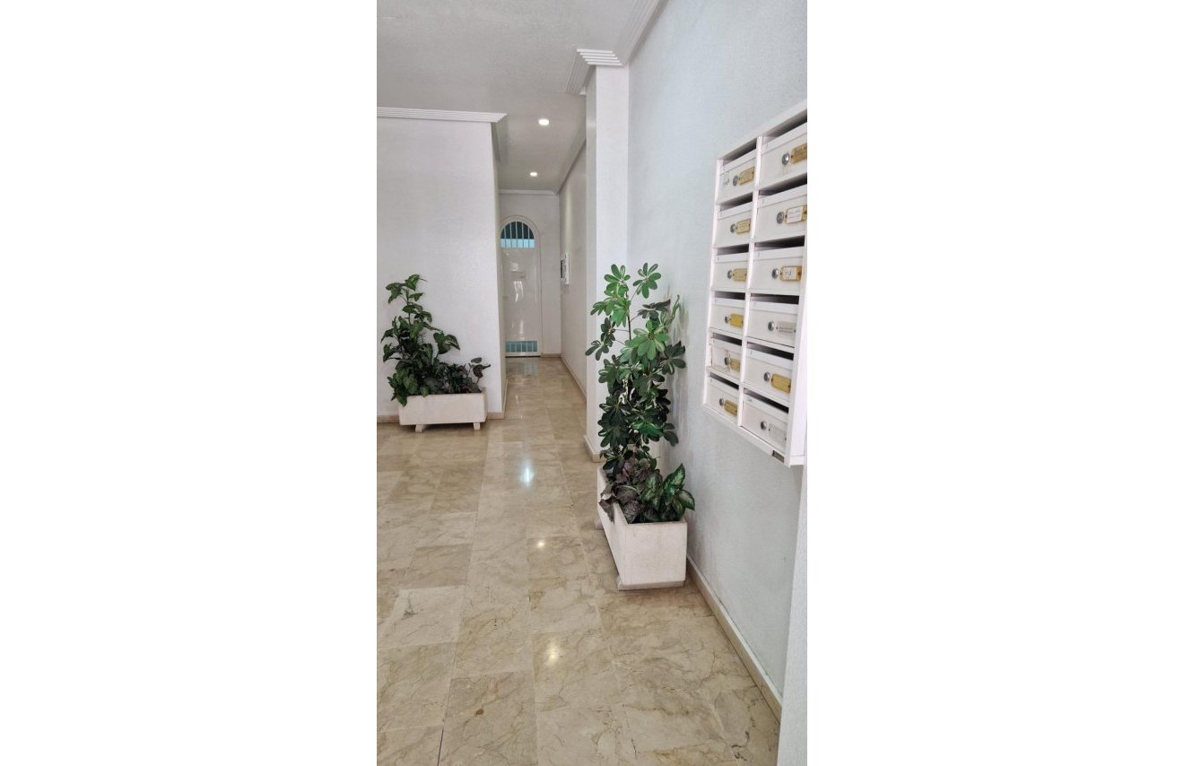 Revente - Apartamento - Torrevieja - Playa del Cura