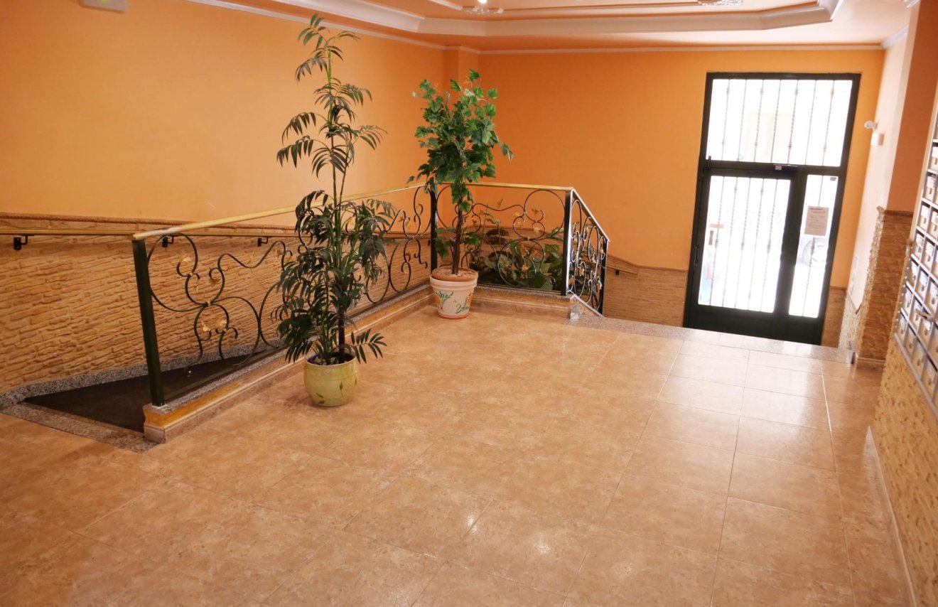 Reventa - Apartamento - Torrevieja - Playa de los Locos