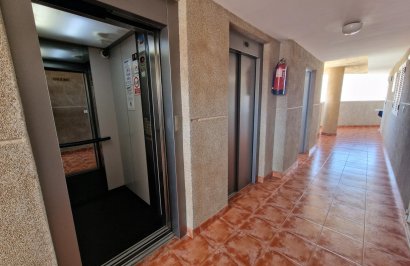 Reventa - Apartamento - Torrevieja - Calas blanca