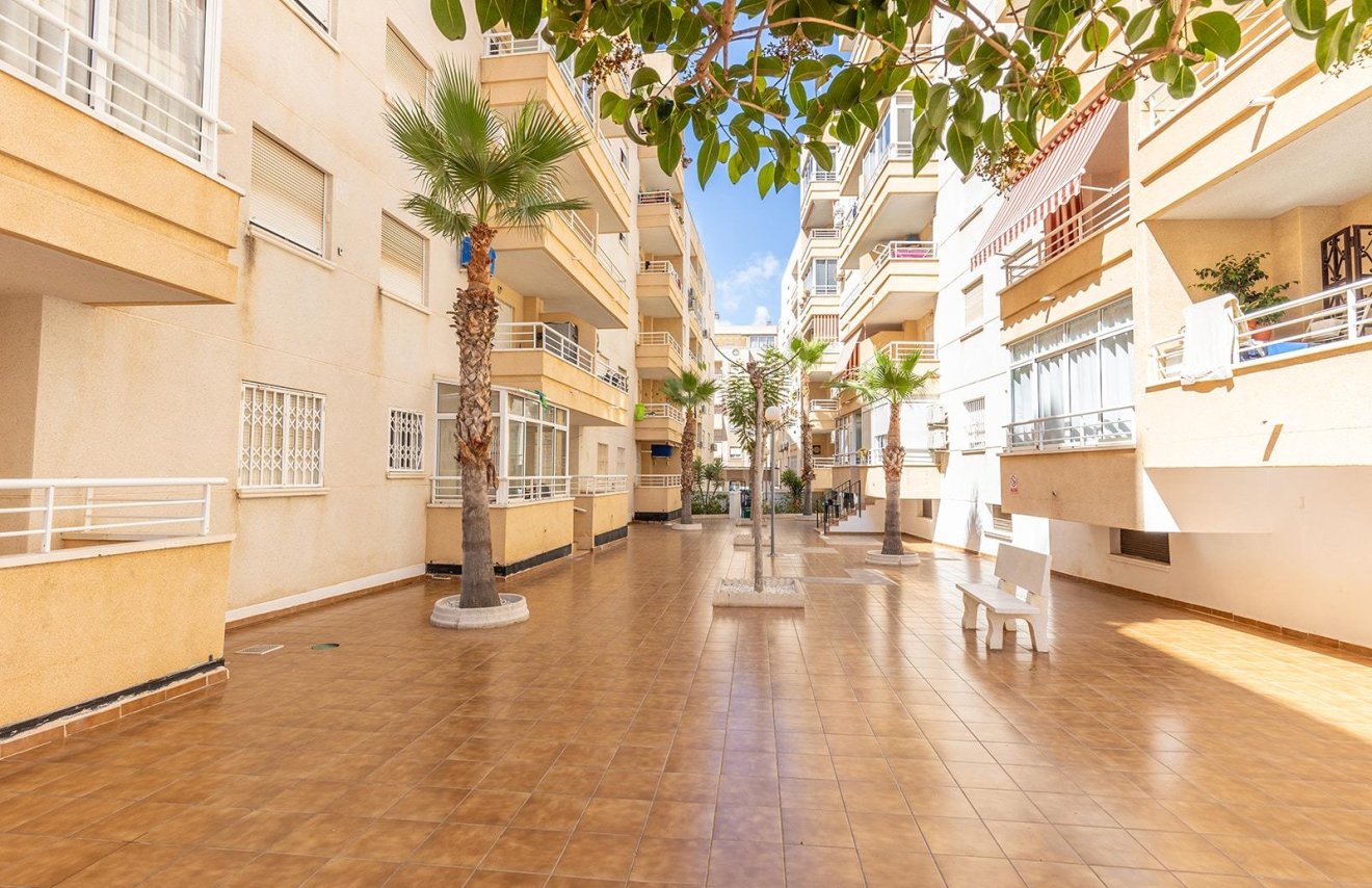 Resale - Apartamento - Torrevieja - Estacion de autobuses