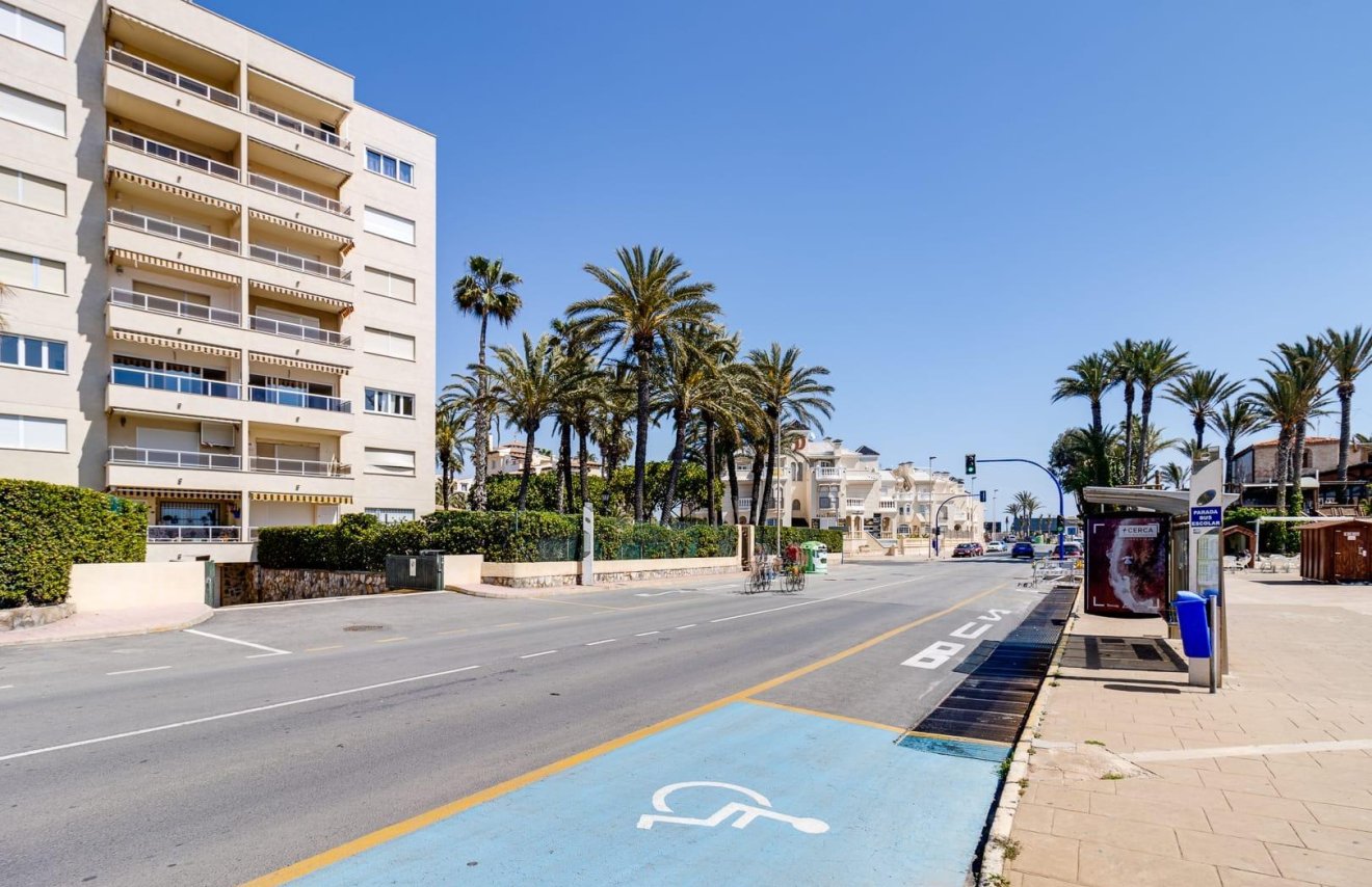 Reventa - Apartamento - Torrevieja - Los Frutales