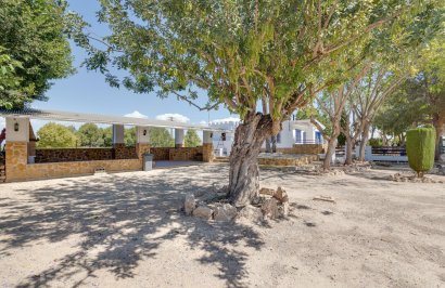 Resale - Chalet - Orihuela - Correntías Bajas