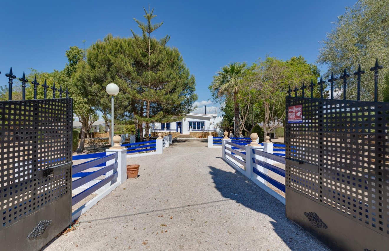 Resale - Chalet - Orihuela - Correntías Bajas