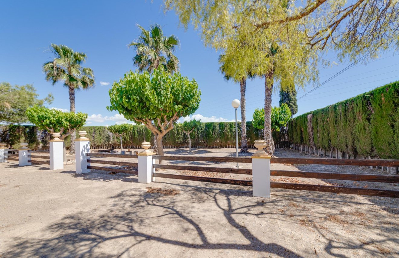 Revente - Chalet - Orihuela - Correntías Bajas