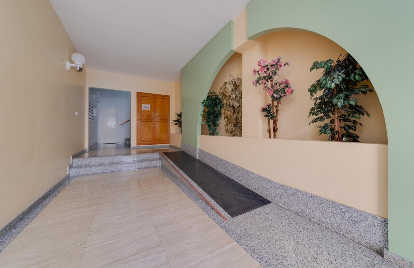 Revente - Apartamento - Torrevieja - Acequion