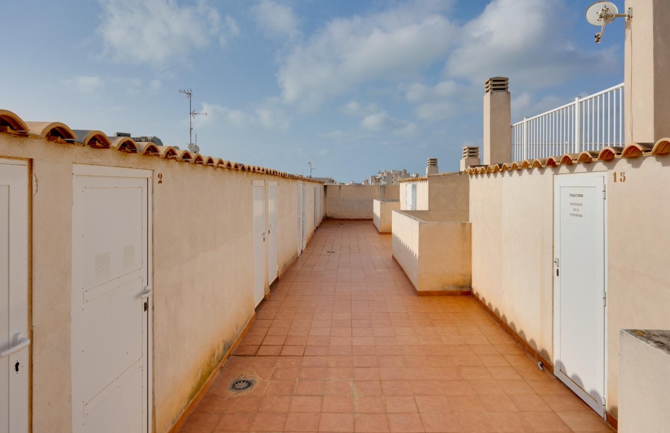 Revente - Apartamento - Torrevieja - Nueva Torrevieja