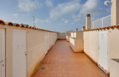 Revente - Apartamento - Torrevieja - Nueva Torrevieja