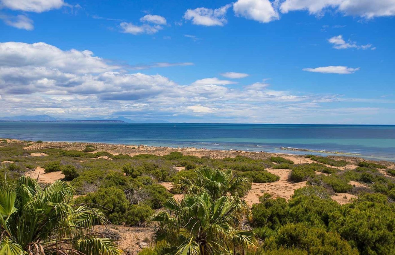 Revente - Bungalow - Torrevieja - Doña ines