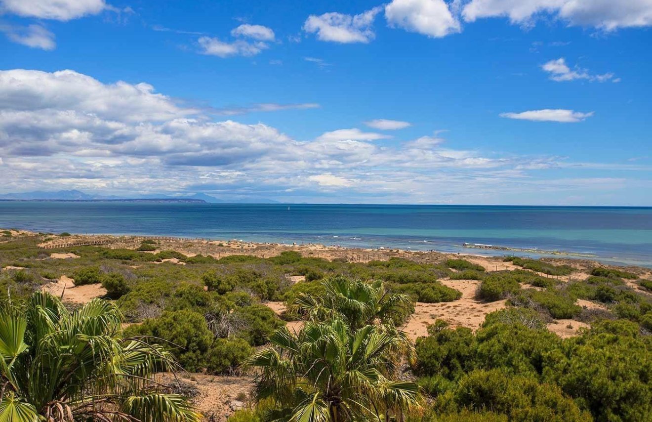 Revente - Bungalow Planta Baja - Torrevieja - Torre la mata