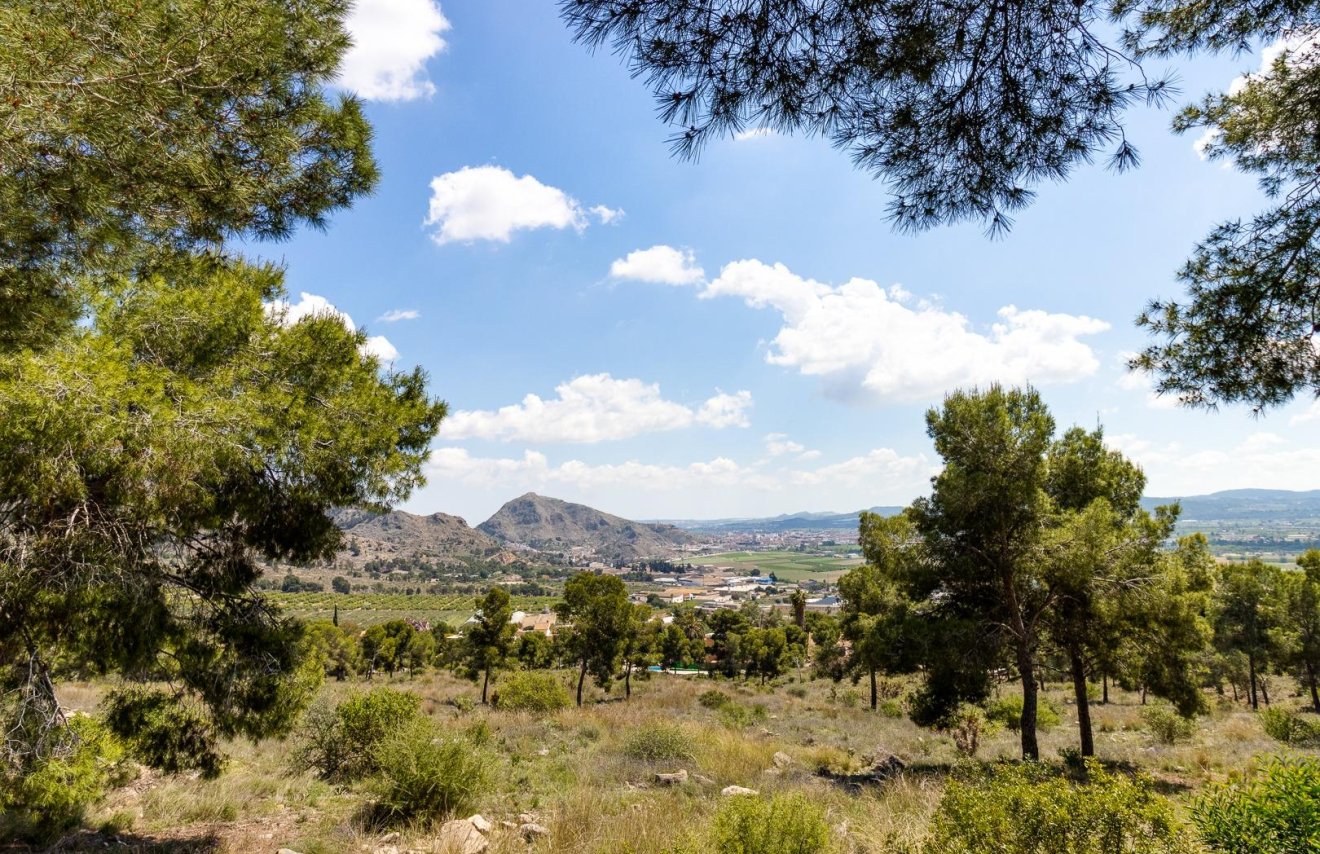 Revente - Maison de ville - Callosa de Segura - C- FILARMONICA