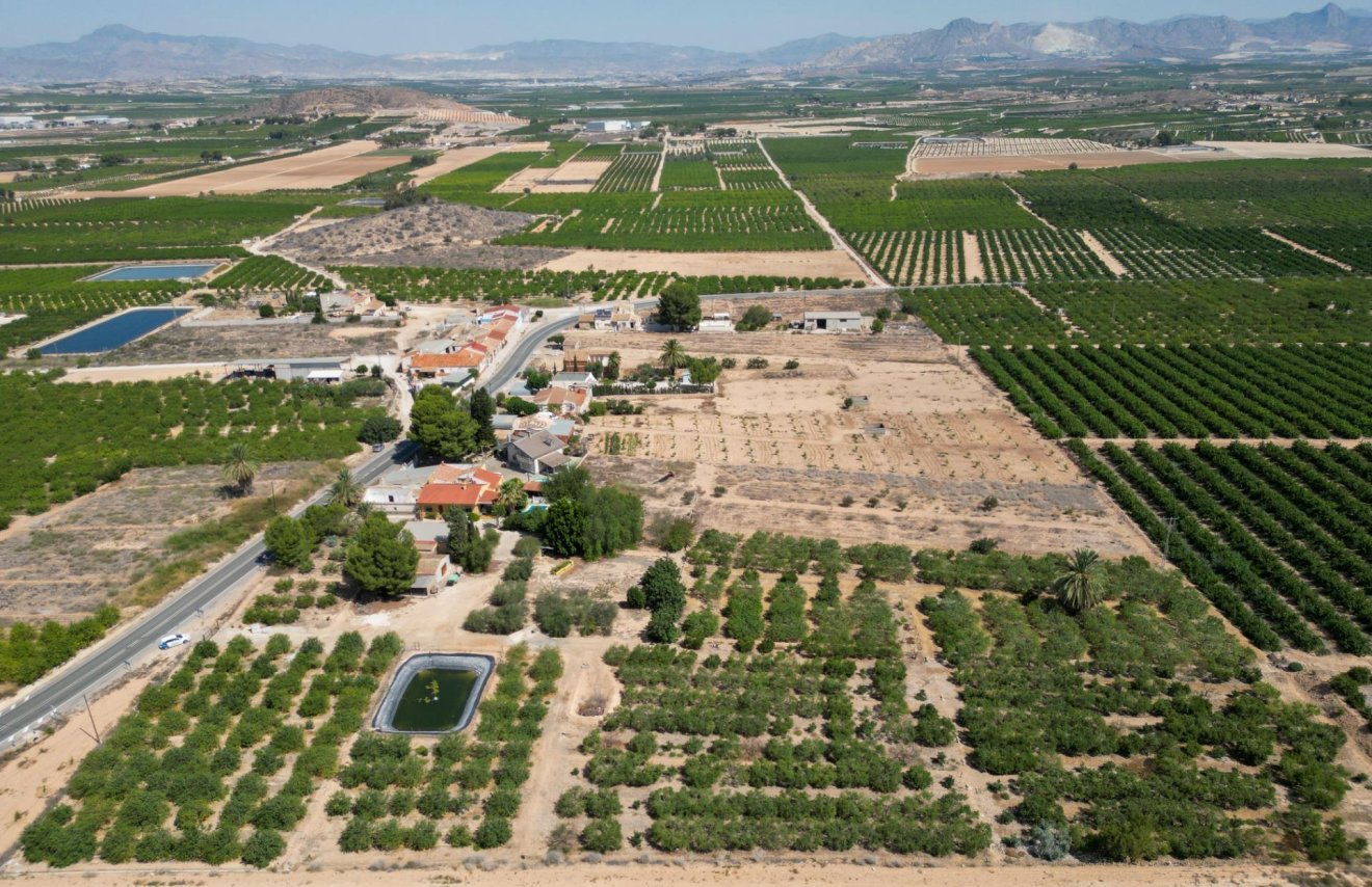 Revente - Casa - Orihuela - La Matanza