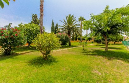 Revente - Maison de ville - Torrevieja - Carrefour