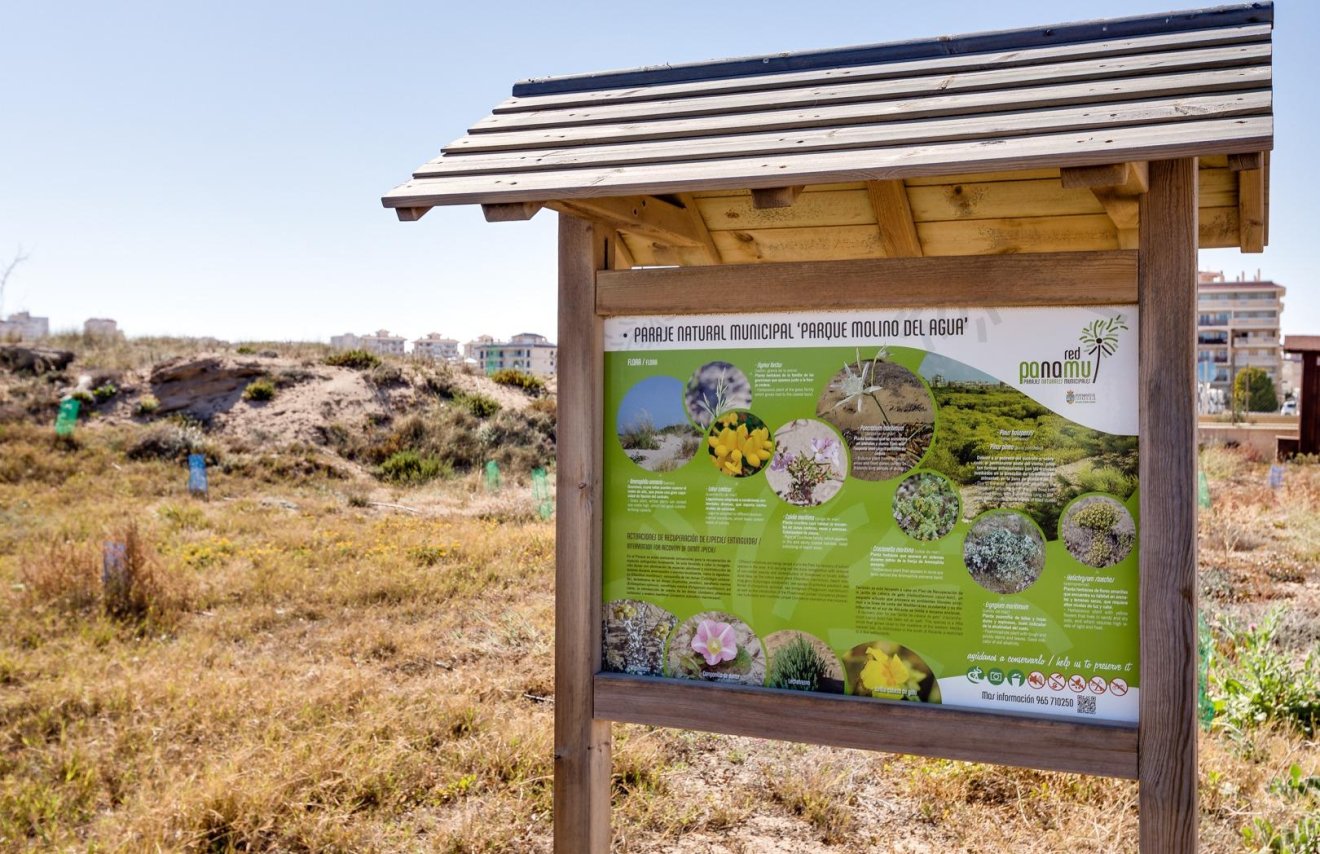 Revente - Attique - Torrevieja - La Mata