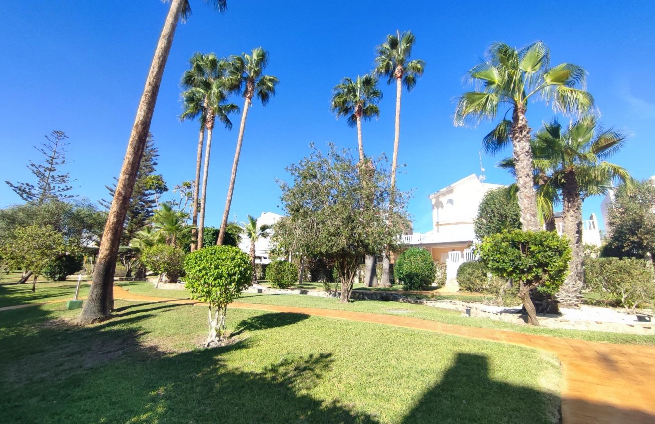 Revente - Casa - Guardamar del Segura - El moncayo