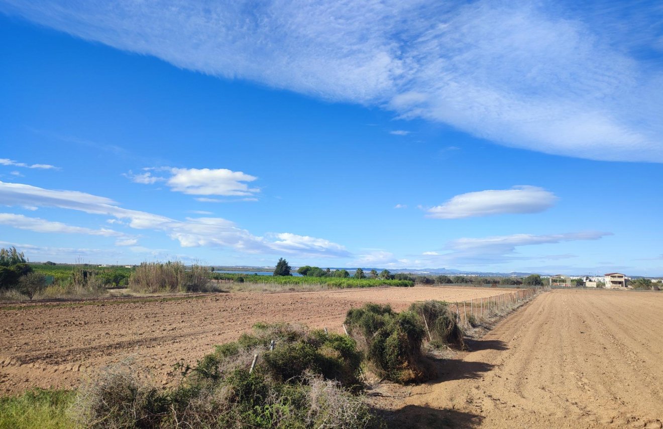 Revente - Casa - Guardamar del Segura - El moncayo