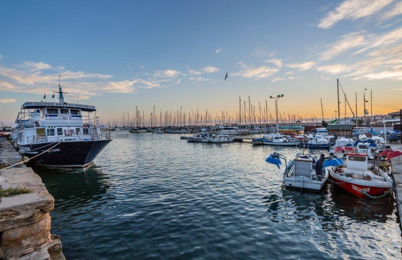 Revente - Étude - Torrevieja - Centro