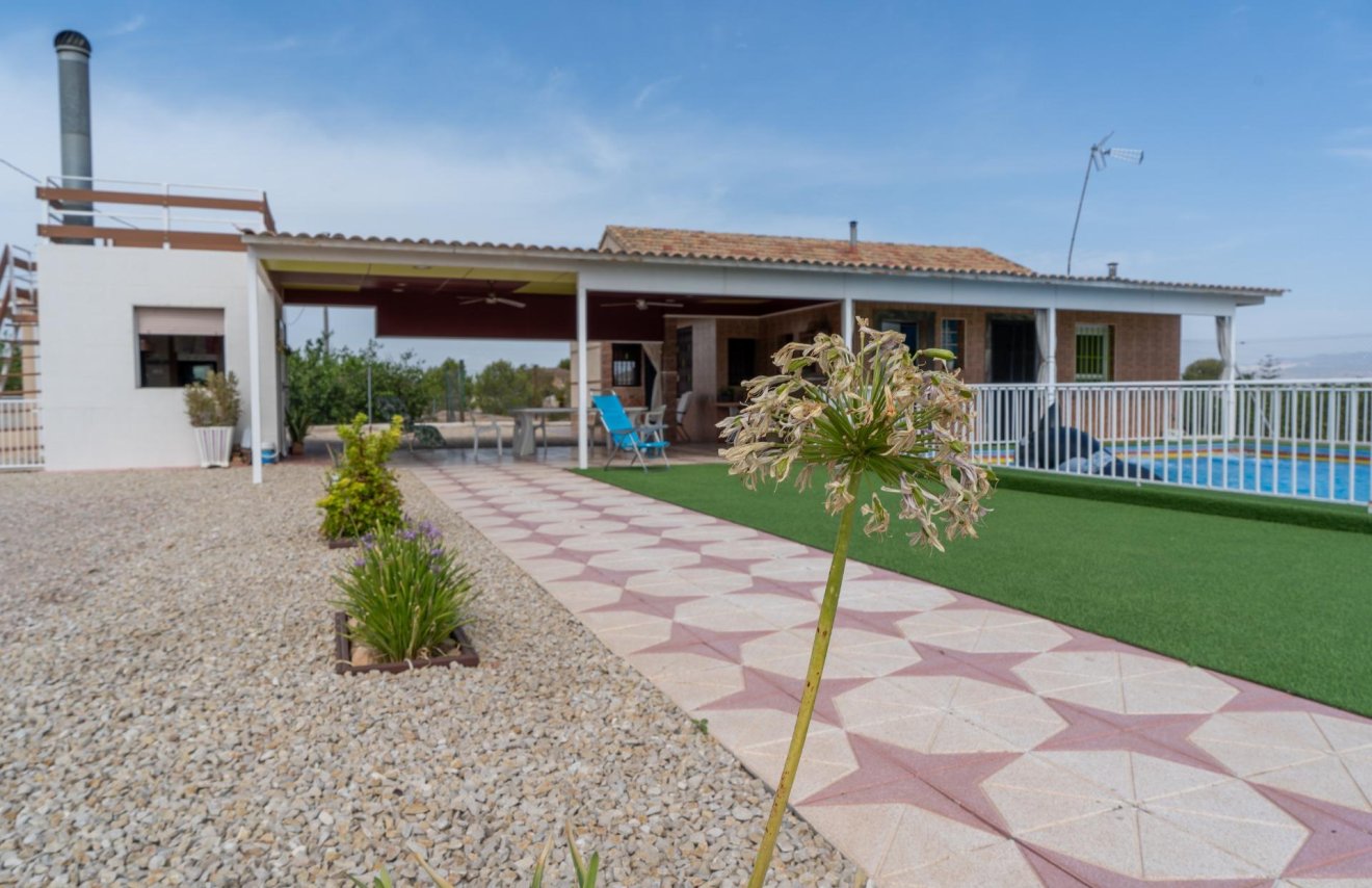 Revente - Chalet - Orihuela - La Matanza