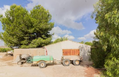 Resale - Casa - Orihuela - La Matanza