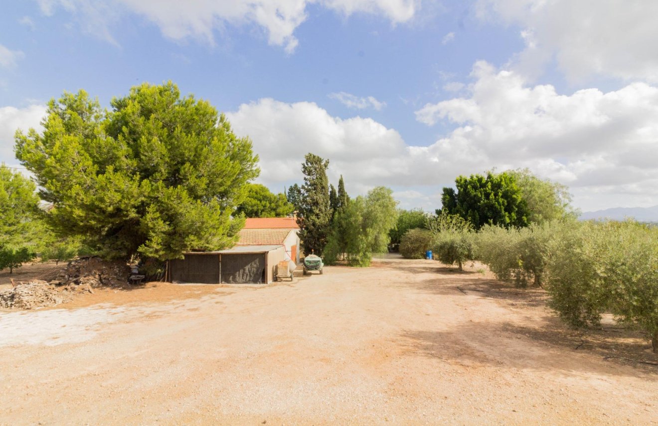 Revente - Casa - Orihuela - La Matanza