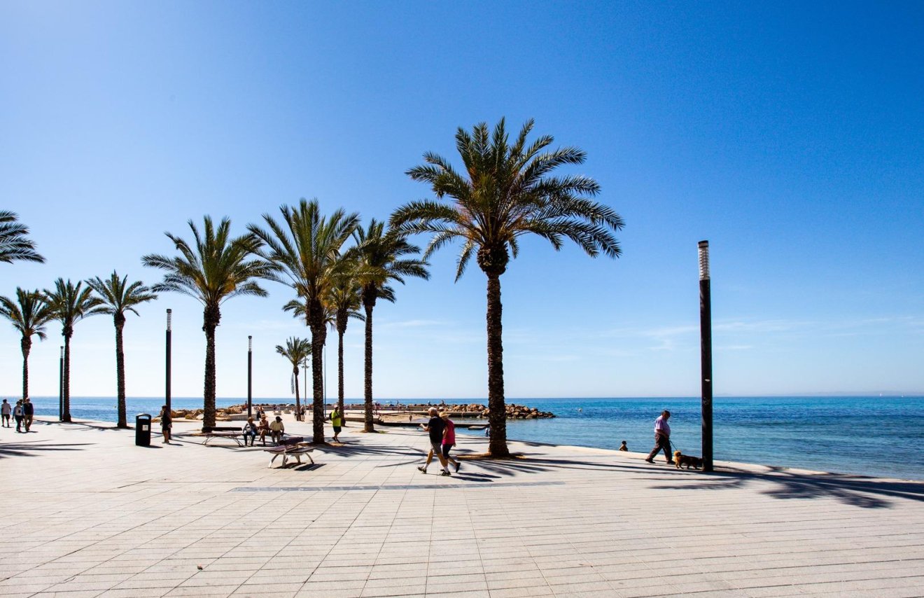 Revente - Maison de ville - Torrevieja - Parque las naciones