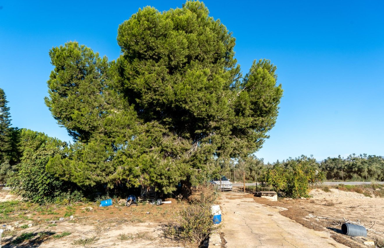 Reventa - Casa con terreno - Orihuela - Molins-Campaneta-San Bartolomé