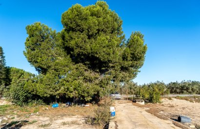 Revente - Casa con terreno - Orihuela - Molins-Campaneta-San Bartolomé