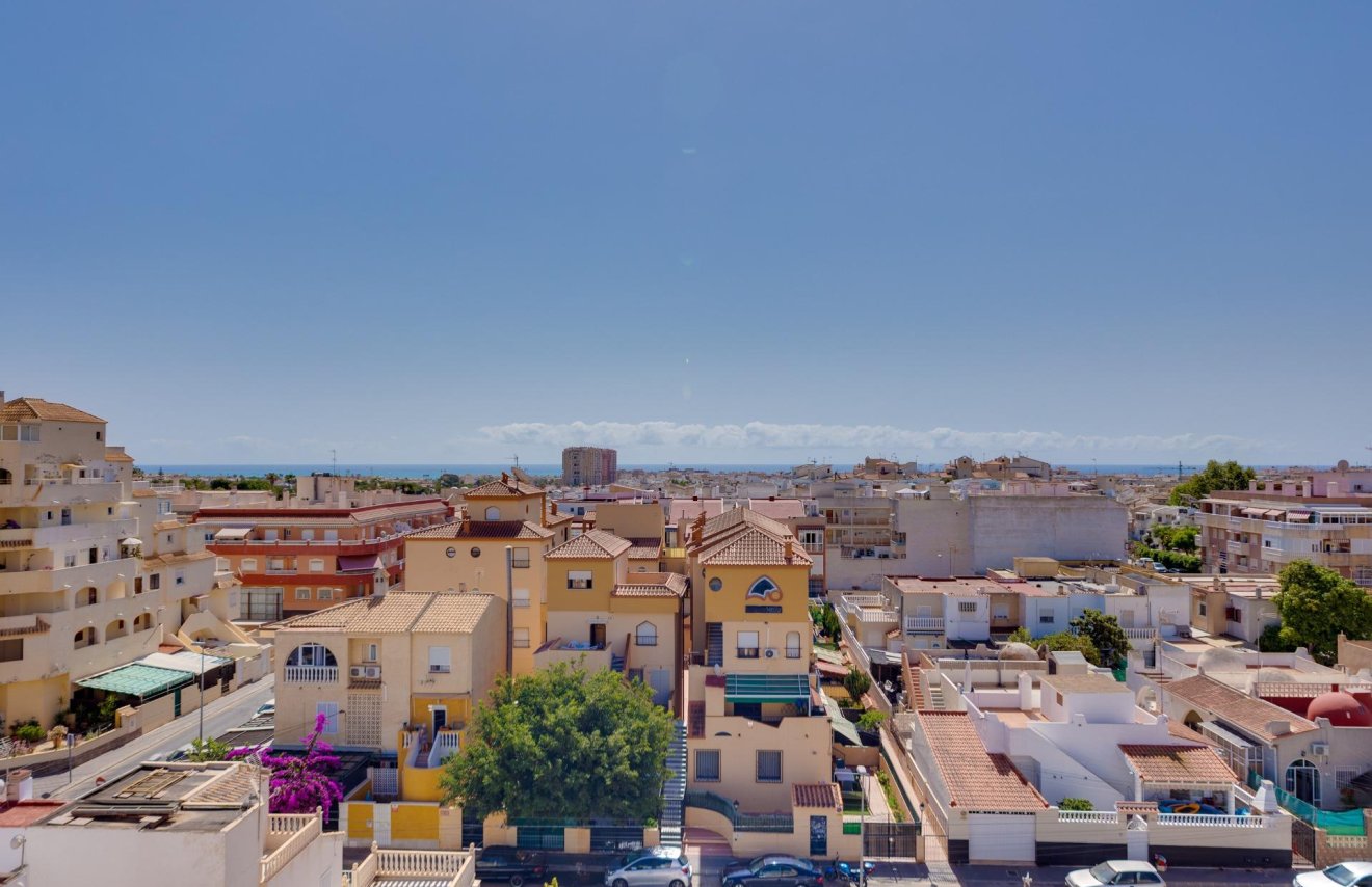 Reventa - Apartamento - Torrevieja - Nueva Torrevieja